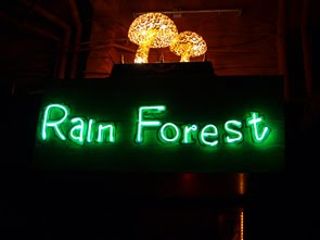 20110216 rainforest